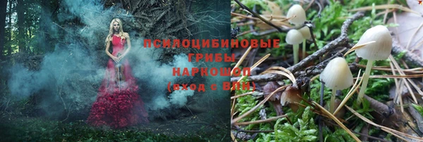 стаф Абинск